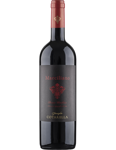 Red Wines - Umbria Rosso IGP 'Marciliano' 2016 (750 ml.) - Famiglia Cotarella - Cotarella - 1