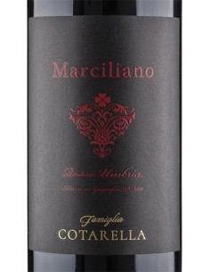 Red Wines - Umbria Rosso IGP 'Marciliano' 2016 (750 ml.) - Famiglia Cotarella - Cotarella - 2
