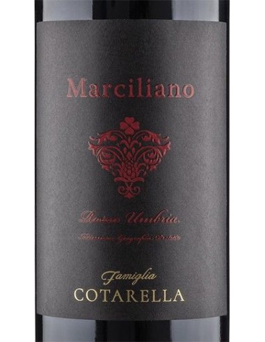 Red Wines - Umbria Rosso IGP 'Marciliano' 2016 (750 ml.) - Famiglia Cotarella - Cotarella - 2