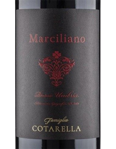 Umbria Rosso IGP 'Marciliano' 2016 (750 ml.) Famiglia Cotarella Cotarella - 2