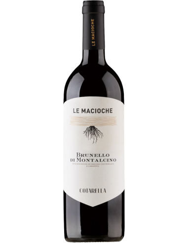Red Wines - Brunello di Montalcino DOCG 'Le Macioche' 2016 (750 ml.) - Famiglia Cotarella - Cotarella - 1