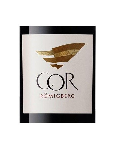 Alto Adige Cabernet Sauvignon DOC 'Cor Romigberg' 2016 (750 ml.) Alois Lageder Alois Lageder - 2