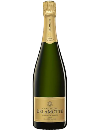 Champagne AOC Brut Blanc de Blancs Jahrgang 2014 (750 ml. mit etui) Delamotte Delamotte - 2