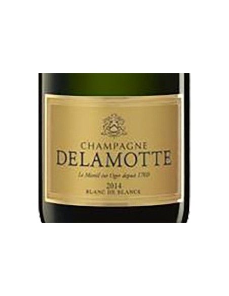 Champagne AOC Blanc de Blancs Brut Millesime' 2014 (750 ml. astucciato) Delamotte Delamotte - 3