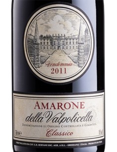 Red Wines - Amarone della Valpolicella Classico DOCG 2011 (750 ml. wooden box) - Bertani - Bertani - 3