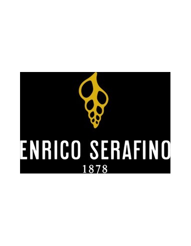 Vini Rossi - Barbera d'Alba DOC Superiore 'San Defendente' 2016 (750 ml.) - Enrico Serafino - Enrico Serafino - 3