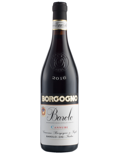 Red Wines - Barolo DOCG 'Cannubi' 2016 (750 ml. boxed) - Borgogno - Borgogno - 2