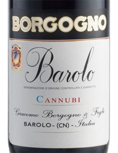 Red Wines - Barolo DOCG 'Cannubi' 2016 (750 ml. boxed) - Borgogno - Borgogno - 3