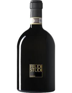 Vini Rossi - Taurasi DOCG 'Candriano' FeudiStudi 2016 (750 ml.) - Feudi di San Gregorio - Feudi di San Gregorio - 1