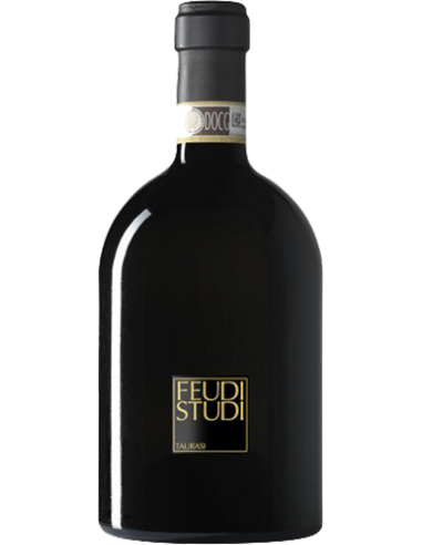 Red Wines - Taurasi DOCG 'Candriano' FeudiStudi 2016 (750 ml.) - Feudi di San Gregorio - Feudi di San Gregorio - 1