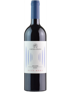 Red Wines - Bolgheri DOC 'Ruit Hora' 2019 (750 ml.) - Caccia al Piano - Caccia al Piano - 1