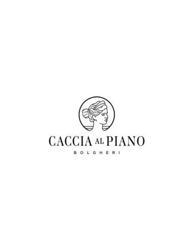Vini Rossi - Bolgheri Superiore DOC 'Caccia al Piano' 2018 (750 ml.) - Caccia al Piano - Caccia al Piano - 3