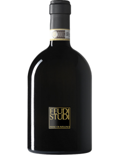 White Wines - Fiano di Avellino DOCG 'Morandi' FeudiStudi 2018 (750 ml.) - Feudi di San Gregorio - Feudi di San Gregorio - 1