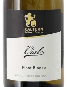 Vini Bianchi - Alto Adige Pinot Bianco DOC 'Vial'  2020 (750 ml.) - Cantina di Caldaro Kaltern - Kaltern Cantina di Caldaro - 2