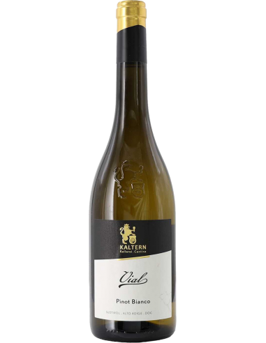 Vini Bianchi - Alto Adige Pinot Bianco DOC 'Vial'  2020 (750 ml.) - Cantina di Caldaro Kaltern - Kaltern Cantina di Caldaro - 1