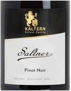 Red Wines - Alto Adige Pinot Noir DOC Reserve 'Saltner' 2019 (750 ml.) - Cantina di Caldaro Kaltern - Kaltern Cantina di Caldaro