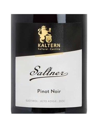 Red Wines - Alto Adige Pinot Noir DOC Reserve 'Saltner' 2019 (750 ml.) - Cantina di Caldaro Kaltern - Kaltern Cantina di Caldaro
