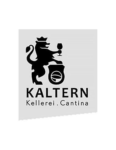Red Wines - Alto Adige Merlot DOC Reserve 'Lason' 2019 (750 ml.) - Cantina di Caldaro Kaltern - Kaltern Cantina di Caldaro - 3