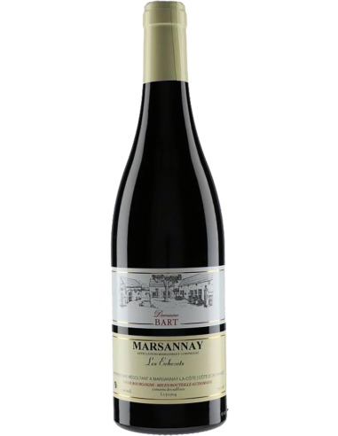 Red Wines - Marsannay 'Les Echezots' 2018 (750 ml.) - Domaine Bart - Domaine Bart - 1
