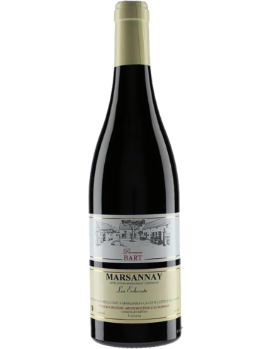 Vini Rossi - Marsannay 'Les Echezots' 2018 (750 ml.) - Domaine Bart - Domaine Bart - 1