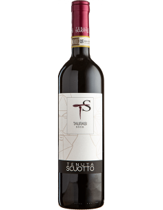 Red Wines - Taurasi DOCG 2017 (750 ml.) - Tenuta Scuotto - Tenuta Scuotto - 1