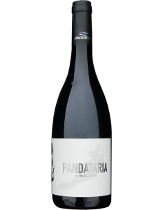 White Wines - Isola di Ventotene 'Pandataria' 2020 (750 ml.) - Candidaterra - Candidaterra - 1
