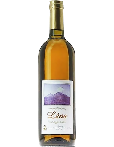 White Wines - Salina Bianco IGT 'Lene' 2020 (750 ml) - Salvatore d'Amico - Salvatore d'Amico - 1