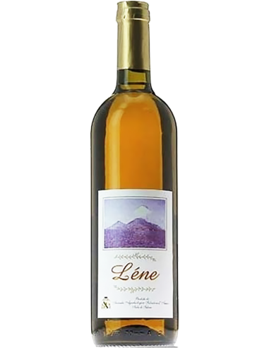 Salina Bianco IGT 'Lene' 2020 (750 ml) - Salvatore d'Amico Salvatore d'Amico - 1