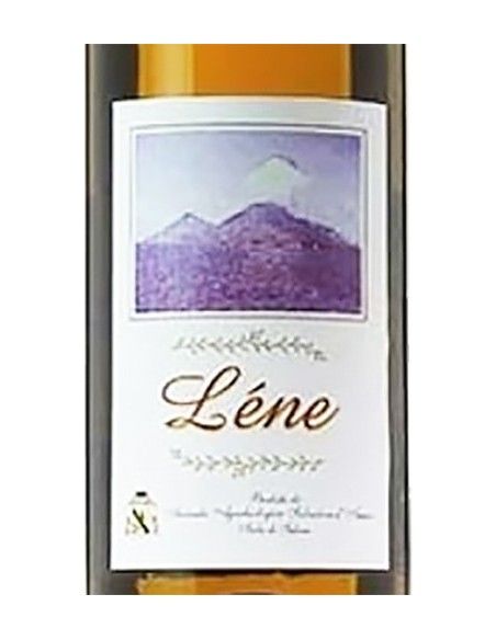 Salina Bianco IGT 'Lene' 2020 (750 ml) Salvatore d'Amico Salvatore d'Amico - 2