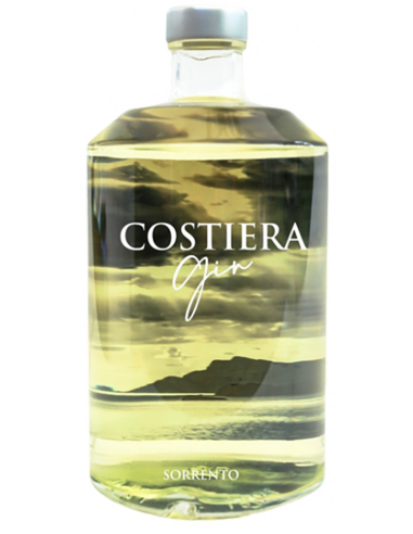 Gin 'Costiera' (700 ml.) Piemme Piemme - 1