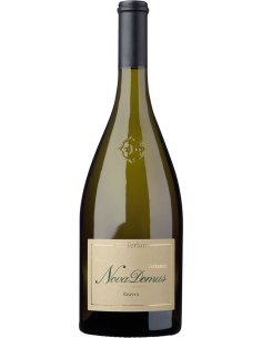 White Wines - Alto Adige Riserva DOC 'Nova Domus'  2020 (750 ml.) - Terlano - Terlan - 1