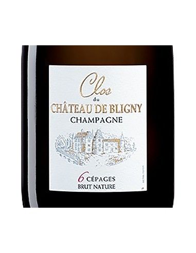 Champagne AOC Blanc de Noirs Brut Nature 6 Cepages 'Clos du Chateau' (750 ml.) Chateau de Bligny Chateau de Bligny - 2