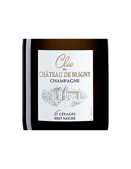 Champagne AOC Blanc de Noirs Brut Nature 6 Cepages 'Clos du Chateau' (750 ml.) Chateau de Bligny Chateau de Bligny - 2