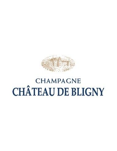 Champagne AOC Brut Nature 6 Cepages 'Clos du Chateau' (750 ml.) Chateau de Bligny Chateau de Bligny - 3