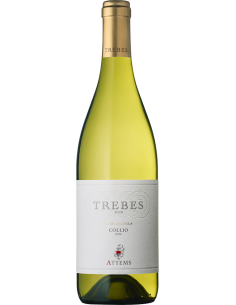 White Wines - Collio Ribolla Gialla DOC 'Trebes' 2020 (750 ml.) - Attems - Attems - 1