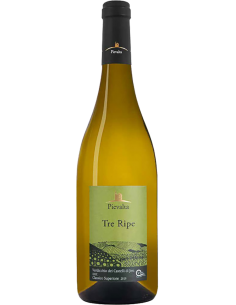 White Wines - Verdicchio dei Castelli di Jesi DOC Classico Superiore 'Tre Ripe' 2021 (750 ml.) - Pievalta - Pievalta - 1