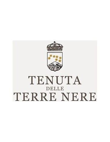 Etna Rosso DOC 'Calderara Sottana' 2020 (750 ml.) Tenuta delle Terre Nere Terre Nere - 4