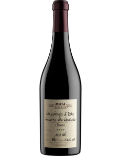 Red Wines - Amarone della Valpolicella Classico DOCG 'Campolongo di Torbe' 2013 (750 ml.) - Masi - Masi - 1