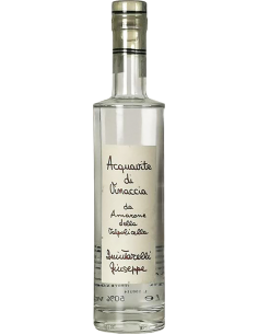 Grappa - Acquavite di Vinaccia di Amarone  (375 ml.) - Giuseppe Quintarelli - Quintarelli - 1