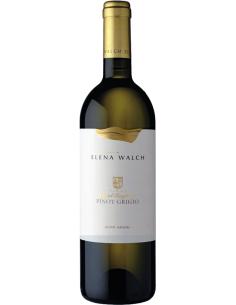 Alto Adige Pinot Grigio DOC Vigna 'Castel Ringberg' 2021 (750 ml.) Elena Walch Elena Walch - 1