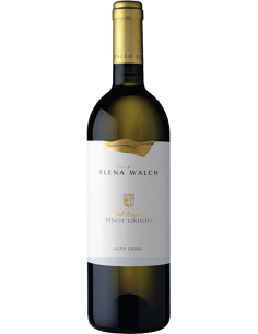 White Wines - Alto Adige Pinot Gris DOC Vigna 'Castel Ringberg' 2021 (750 ml.) - Elena Walch - Elena Walch - 1
