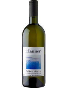 Salina IGT Salina Bianco 2023 (750 ml) Hauner Hauner - 1
