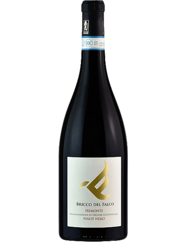 Red Wines - Piemonte DOC Pinot Nero 'Bricco del Falco' 2018 (750 ml.) - Isolabella della Croce - Isolabella della Croce - 1