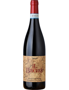 Red Wines - Monferrato DOC 'Il Baciale' 2019 (750 ml.) - Braida - Braida - 1
