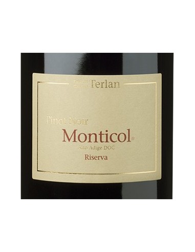 Red Wines - Alto Adige Pinot Nero Riserva DOC 'Monticol' 2018 (750 ml.) - Terlano - Terlan - 2