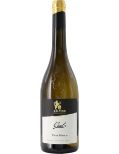 Vini Bianchi - Alto Adige Pinot Bianco DOC 'Vial' 2021 (750 ml.) - Cantina di Caldaro Kaltern - Kaltern Cantina di Caldaro - 1