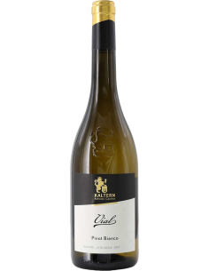 Alto Adige Pinot Bianco DOC 'Vial' 2021 (750 ml.) Cantina di Caldaro Kaltern Kaltern Cantina di Caldaro - 1
