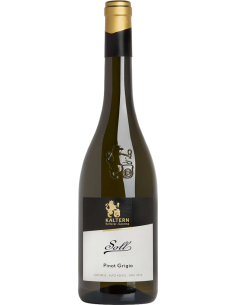 Vini Bianchi - Alto Adige Pinot Grigio DOC 'Soll'  2021 (750 ml.) - Cantina di Caldaro Kaltern - Kaltern Cantina di Caldaro - 1
