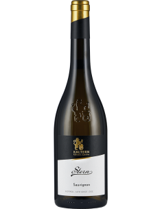 Home - Alto Adige Sauvignon DOC 'Stern' 2021 (750 ml.) - Cantina di Caldaro Kaltern - Kaltern Cantina di Caldaro - 1