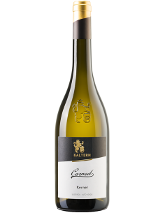 Vini Bianchi - Alto Adige Kerner DOC 'Carned' 2021 (750 ml.) - Cantina di Caldaro Kaltern - Kaltern Cantina di Caldaro - 1